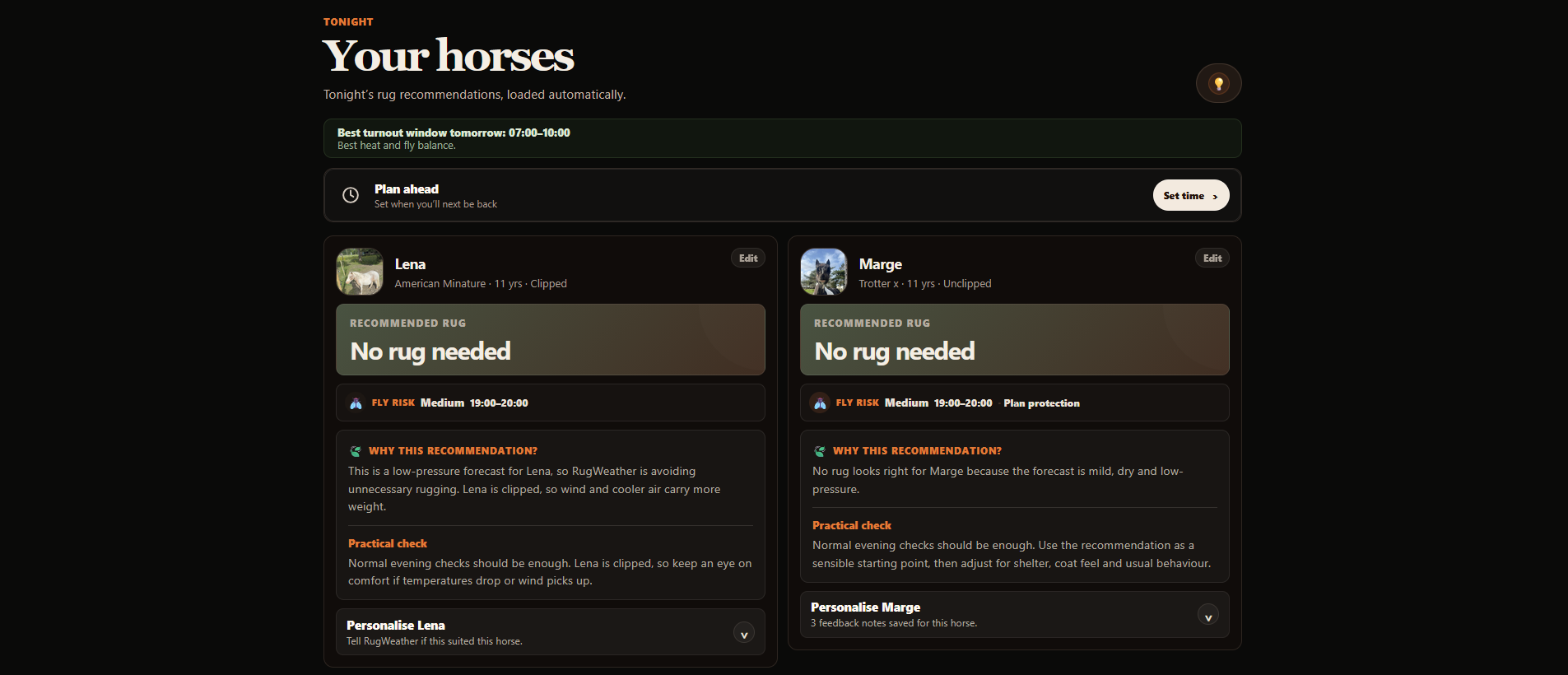 RugWeather dashboard showing personalised horse rug recommendations
