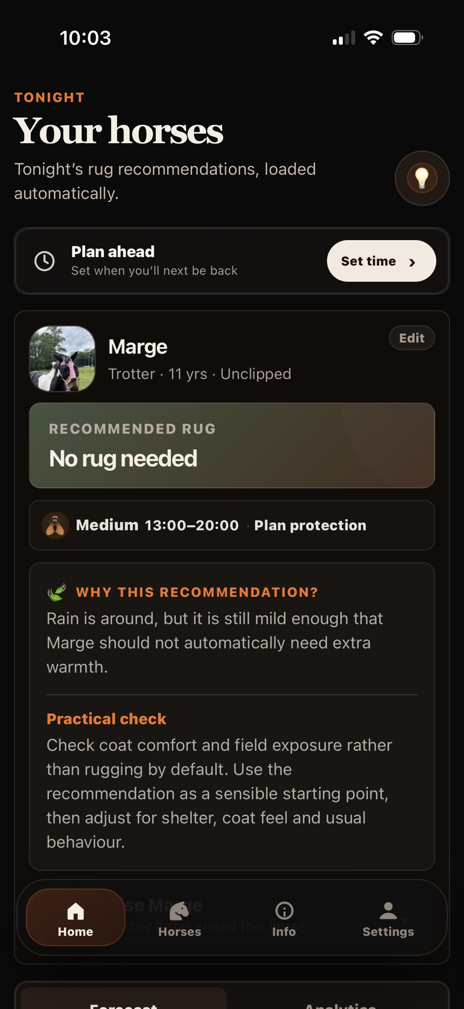 RugWeather mobile dashboard showing tonight's horse recommendations
